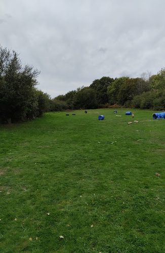 Private Dog Paddock Southampton — secure dog field in Southampton