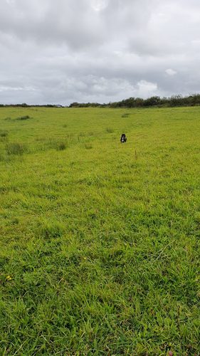 Beacon Lakes — secure dog field in Saint Austell