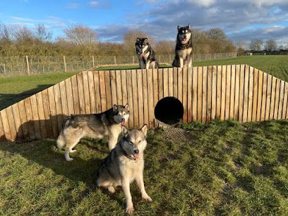 Haslingfield Secure Dog Field — secure dog field in Cambridge