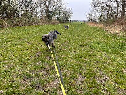 Low Farm Equestrian; Dog Paddock; Dog Training; Cattery & Kennels — secure dog field in Wellingborough