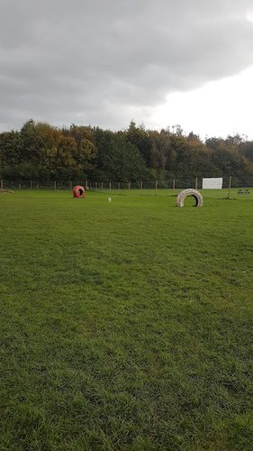 Perth Dog Park — secure dog field