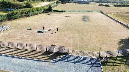 AKV Paws Secure Dog Walking Field — secure dog field in Montgomery