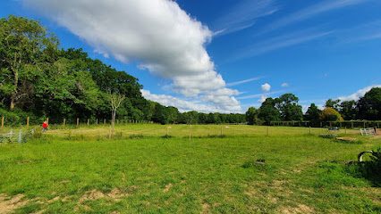 Northlands Meadows Dog Freedom Field Surrey & West Sussex — secure dog field in Horley