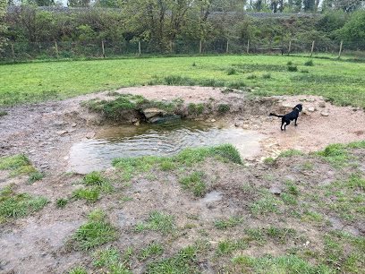Mutts on the Moor — secure dog field in South Brent