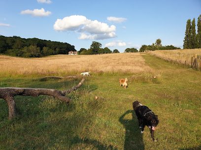 Hounds & Bounds; Woodland Walkies and Bark & Bound — secure dog field in Reading