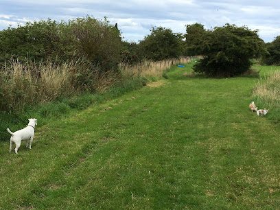 Golden paws dog exercise field — secure dog field in Whitley Bay