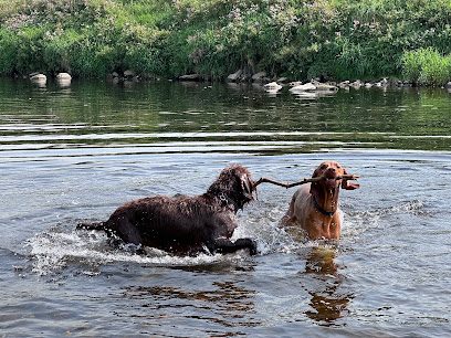 THE BARK PARK - Private Dog Walking Field Hire; Whalley — secure dog field in Clitheroe