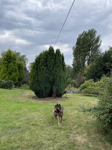 Paws Adventure Park — secure dog field in Hinckley
