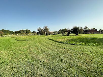 Paws On The Run — secure dog field in Slough