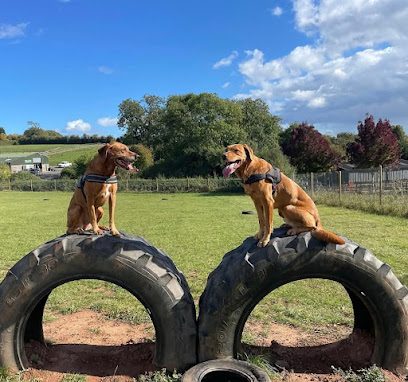 Millside Dog Park — secure dog field in Nottingham