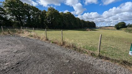 Cranford Dog Walking Park — secure dog field in Kettering