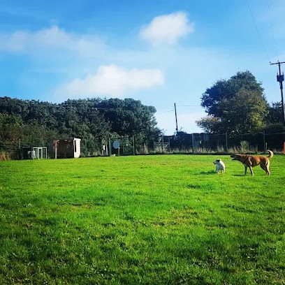 Polgoda Dogs Grooming and Exercise Field — secure dog field in Truro