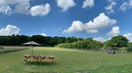 5 Star Dog Paddock Hire — secure dog field in Sandy