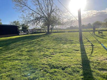Broadacres Dog Walking Field — secure dog field in Northampton