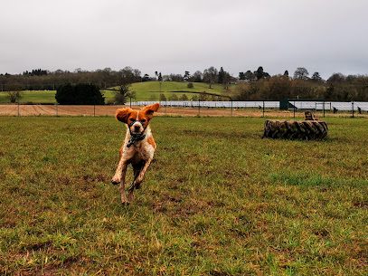 Otherton Farm Dog Park — secure dog field in Worcester