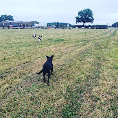 Forpets Enclosed Dog Walking Field — secure dog field in Brackenholme