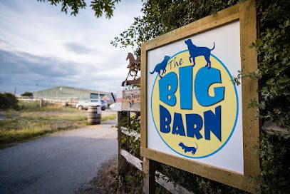 The BIG Barn — secure dog field in Hailsham