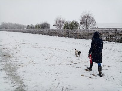 California Dog Field — secure dog field in Leeds