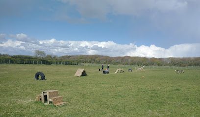 Whinmill Farm Canine Centre — secure dog field in Workington