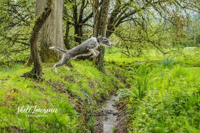 Paws for Pleasure dog field — secure dog field in Exeter