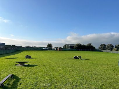 Wellfield Dog Park — secure dog field in Kirkby Stephen
