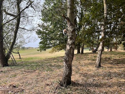 Linley Hill Dog Fields — secure dog field in Beverley