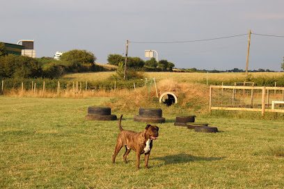 Babu Dogs — secure dog field in Chippenham