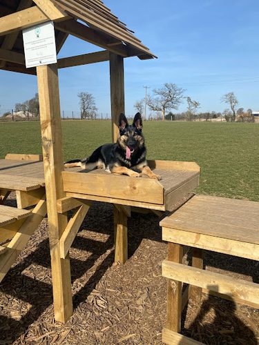 Grow Walkies - Flamstead — secure dog field