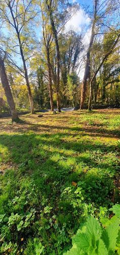 Heron's Meadow Secure Dog Walking Area — secure dog field in Stroud