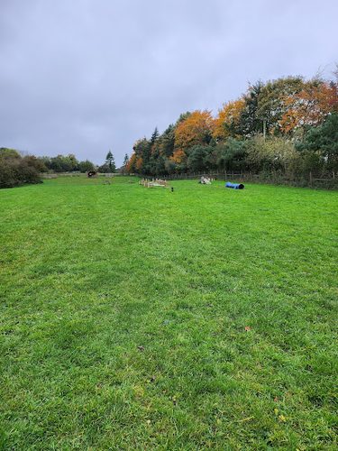 Sammy’s Field — secure dog field in Richmond