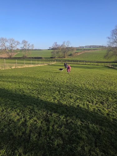 Lodge Farm Paddocks — secure dog field in Corby