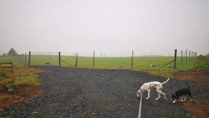 Blairgowrie Dog Park — secure dog field in Blairgowrie