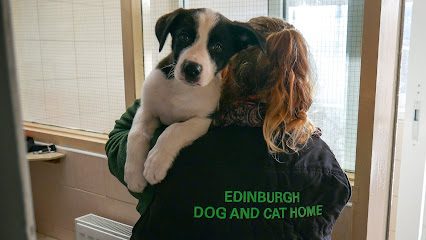 Edinburgh Dog and Cat Home — secure dog field