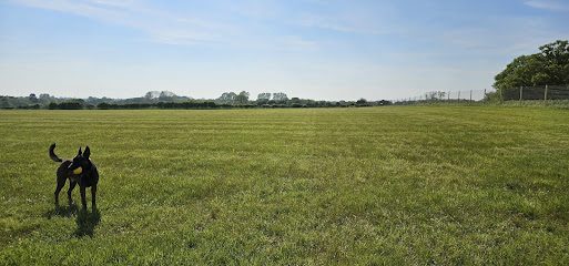 Norfolk Run Free — secure dog field in Bungay