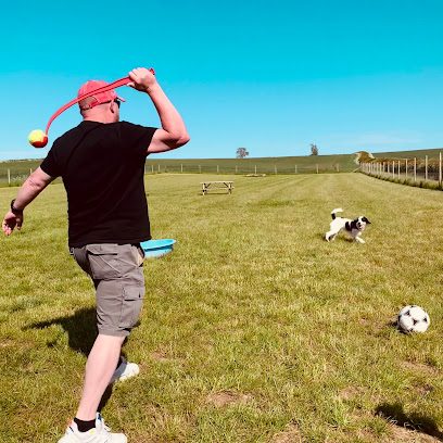 Run Free at Freeby — secure dog field in Melton Mowbray