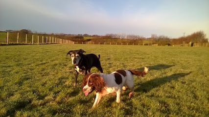 North Devon Secure Dog Walking Field — secure dog field in Barnstaple