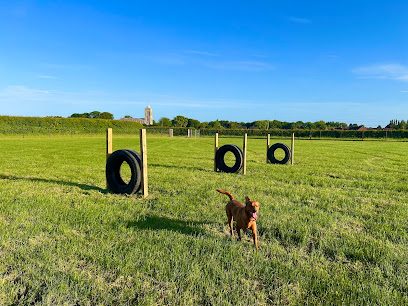 Field For Paws; Fleet Hargate — secure dog field in Spalding