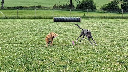 The Paw Park Ecclesmachan — secure dog field in Broxburn