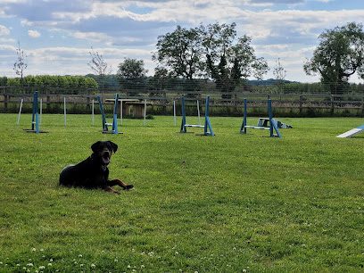 K9 Country Club - Secure Dog Walking Field - Gaddesby; Leicestershire — secure dog field in Leicester