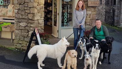 Thea's Lakeland Walks — secure dog field in Carlisle