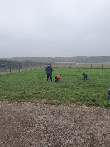 Mansty Dog Fields — secure dog field in Stafford