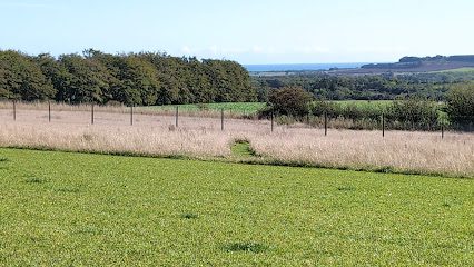 Alnwick Bark Park — secure dog field in Alnwick