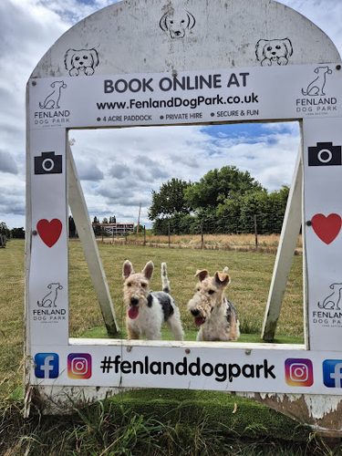 Fenland Dog Park — secure dog field in Spalding