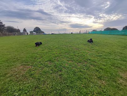 Rodington Secure Dog Park — secure dog field in Telford