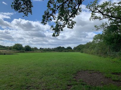 Paws For Play — secure dog field in Wymondham