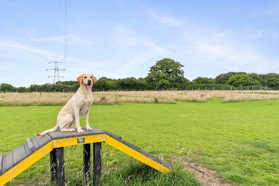 Bishop's Stortford Dog Fields — secure dog field in Bishop's Stortford