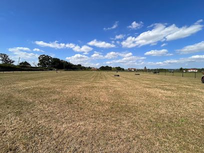 Little Orchard Dog Paddocks — secure dog field in Tonbridge