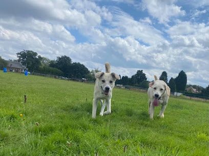 Dogtastic Secure Dog Field — secure dog field in Coalville