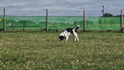 The Wonderful World Of Dogs Dog Park — secure dog field in South Shields