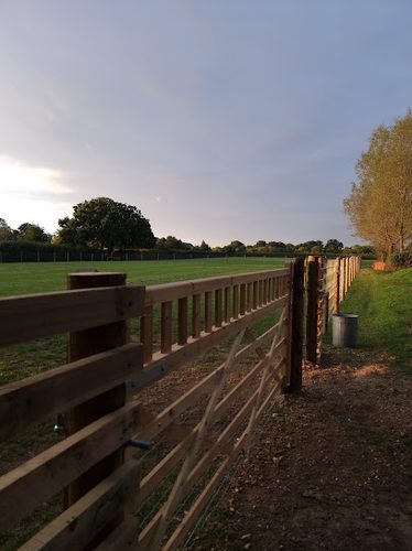 Freedom For Your Dog - Dog Field — secure dog field in Braintree